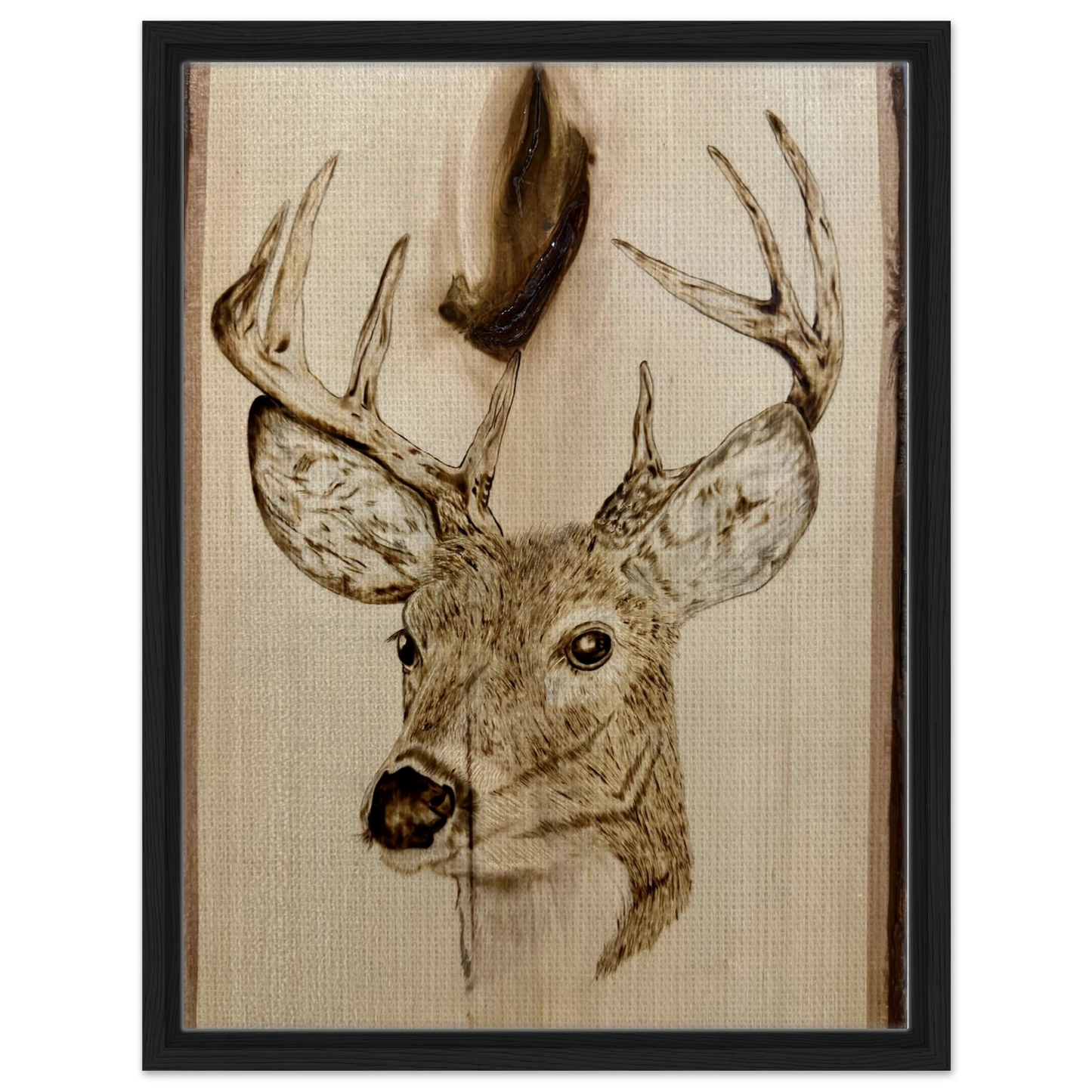 07877fb3-b0f5-4626-81d3-2f04296ed1c2